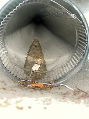 {{ custom_values.service_3 }} in {{custom_values.area_1})