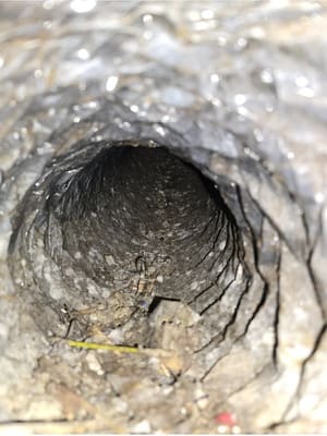 Dryer vent cleaning in Charlotte and surrounding cities
