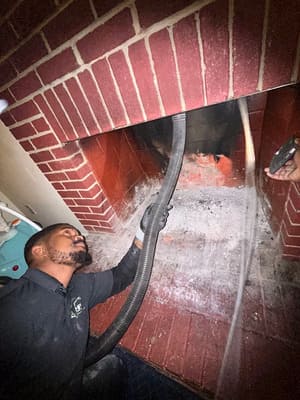 Mold Remediation for HVAC in concord