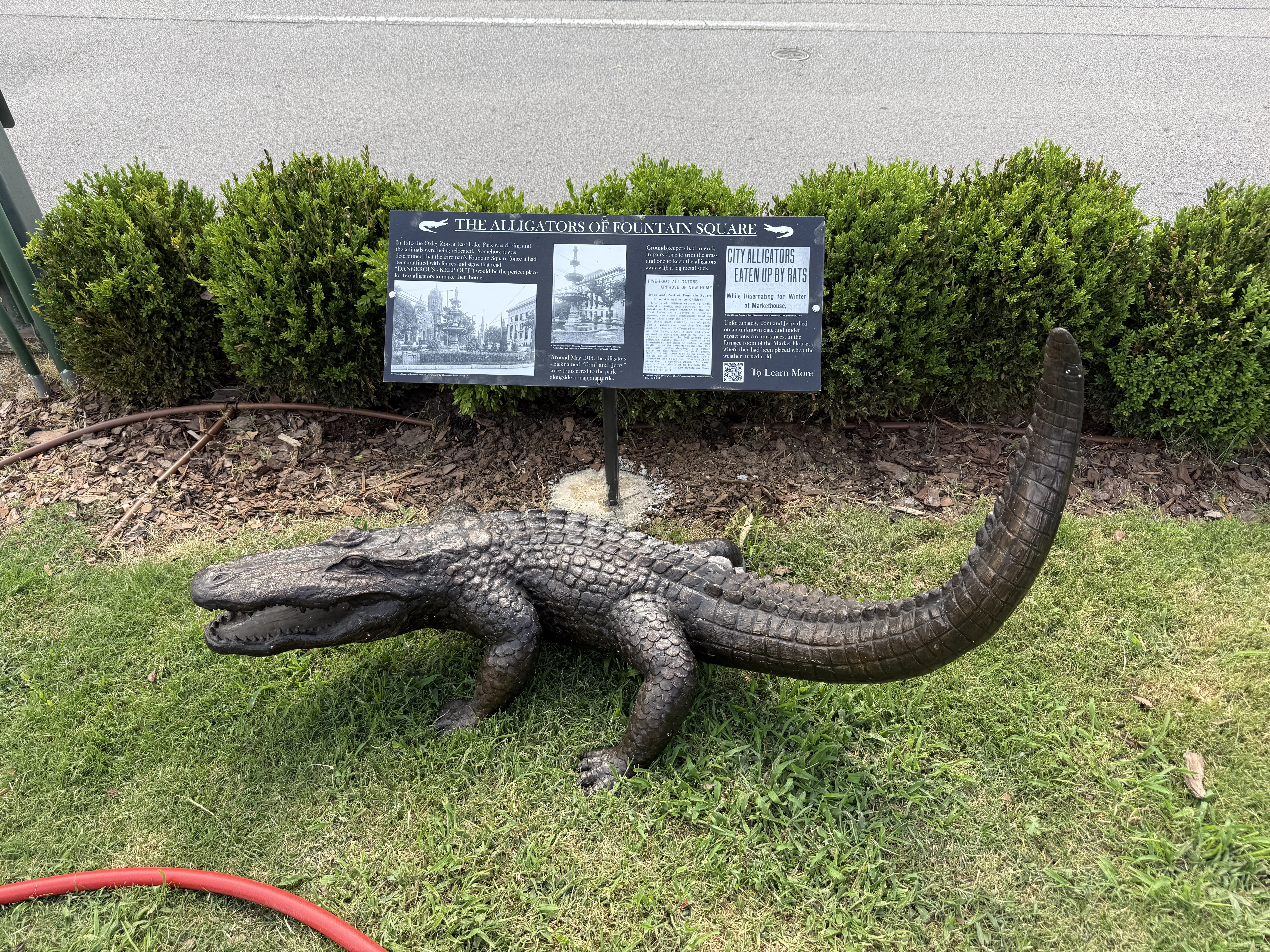 Historical marker and bronze alligator sculpture at Fountain Square in downtown Chattanooga, Tennessee.