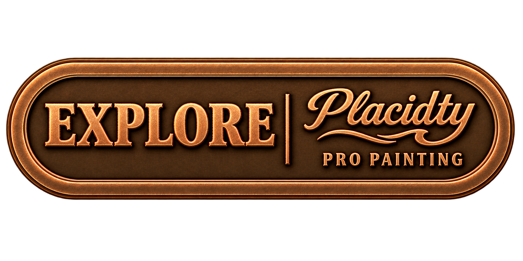 Placidity Pro Painting Homepage