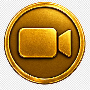 Placidity Connect video call