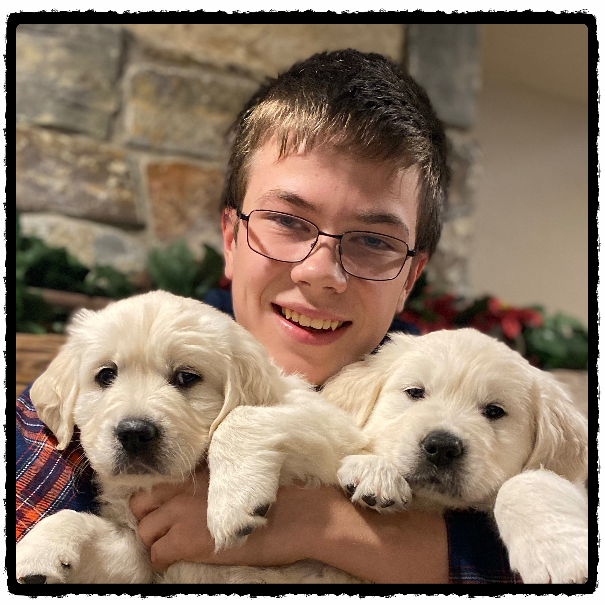 Golden Puppies first
