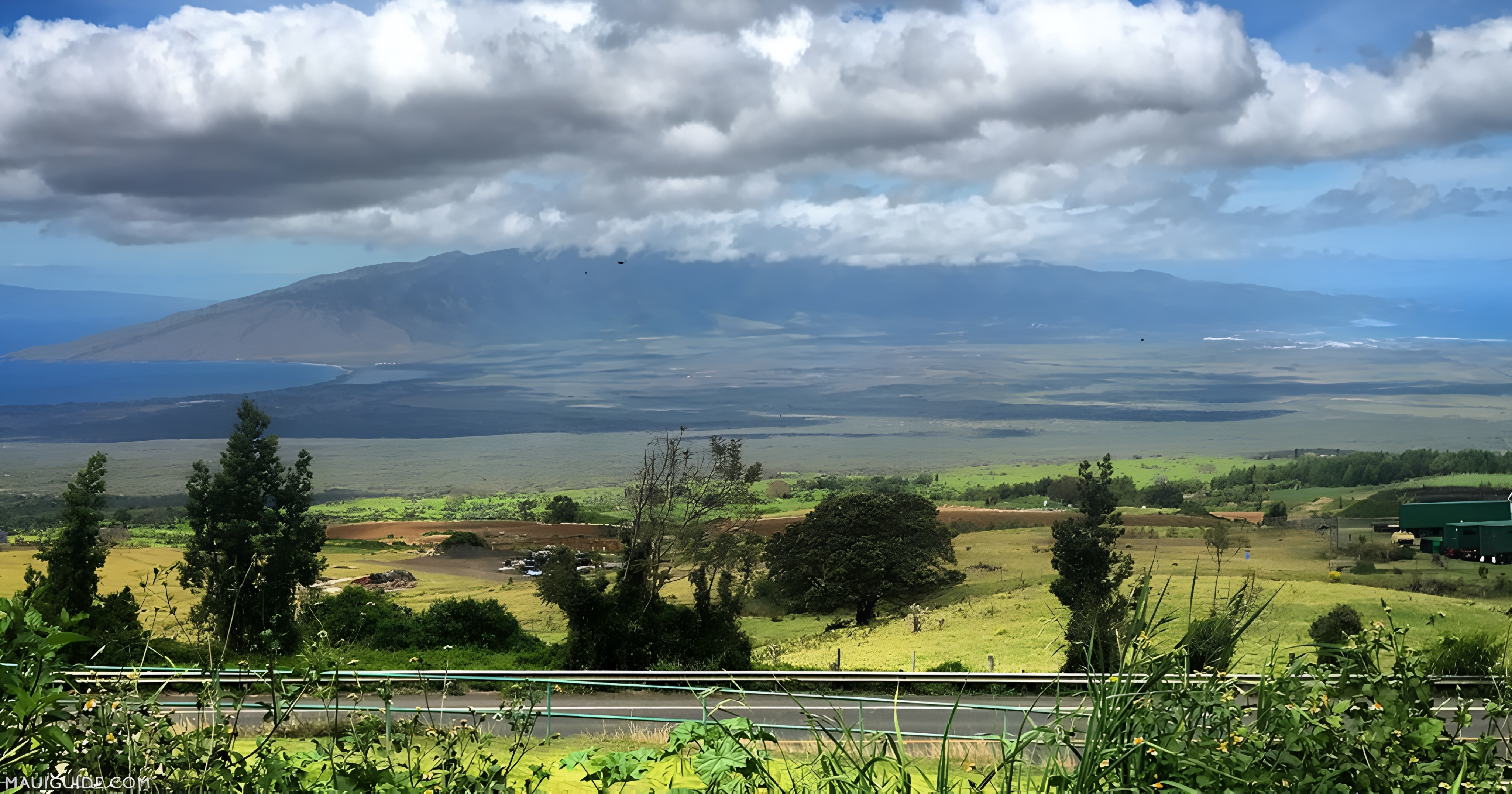 Upcountry Maui