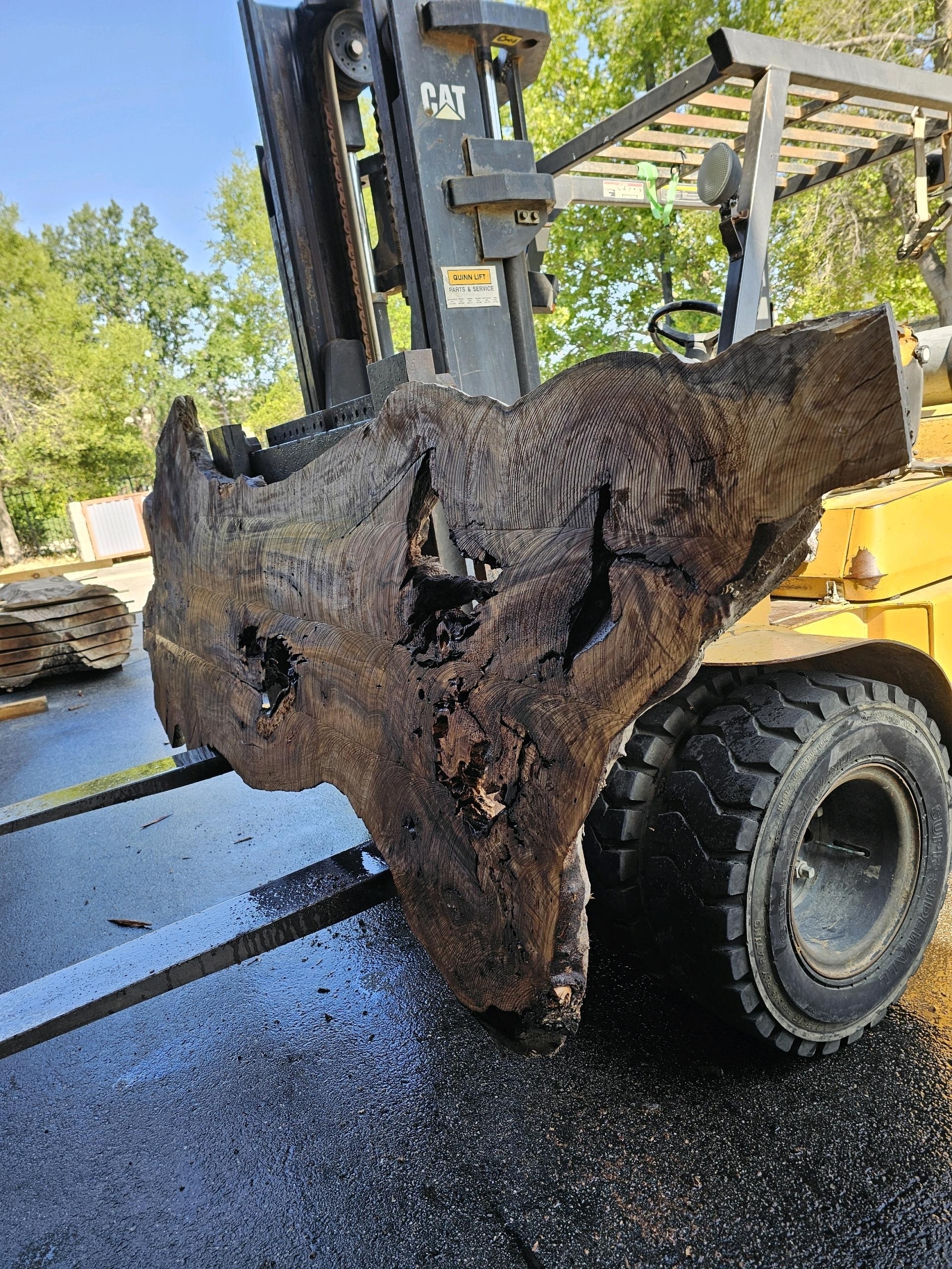 Stacked Wooden Logs