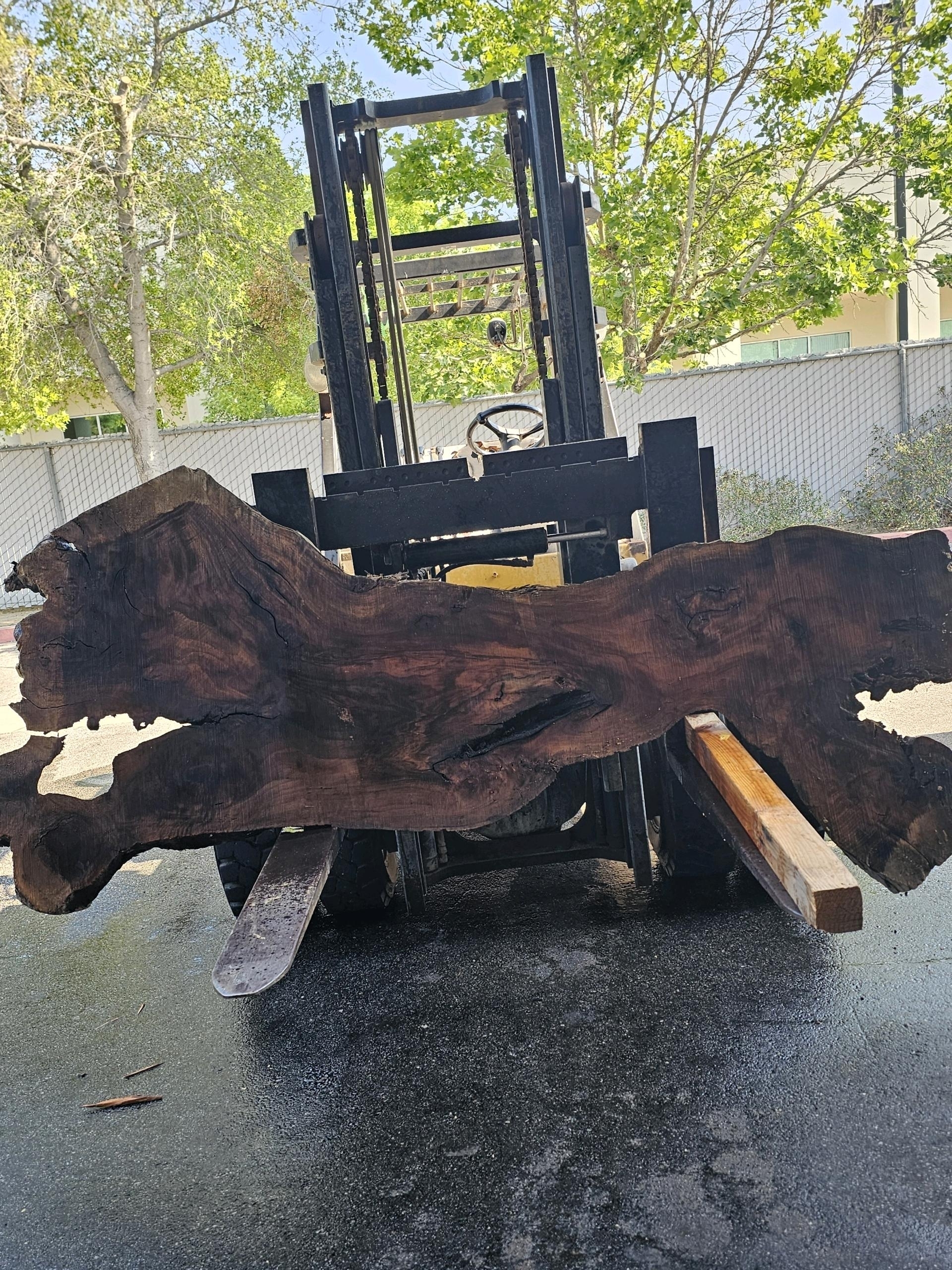 Stacked Wooden Logs