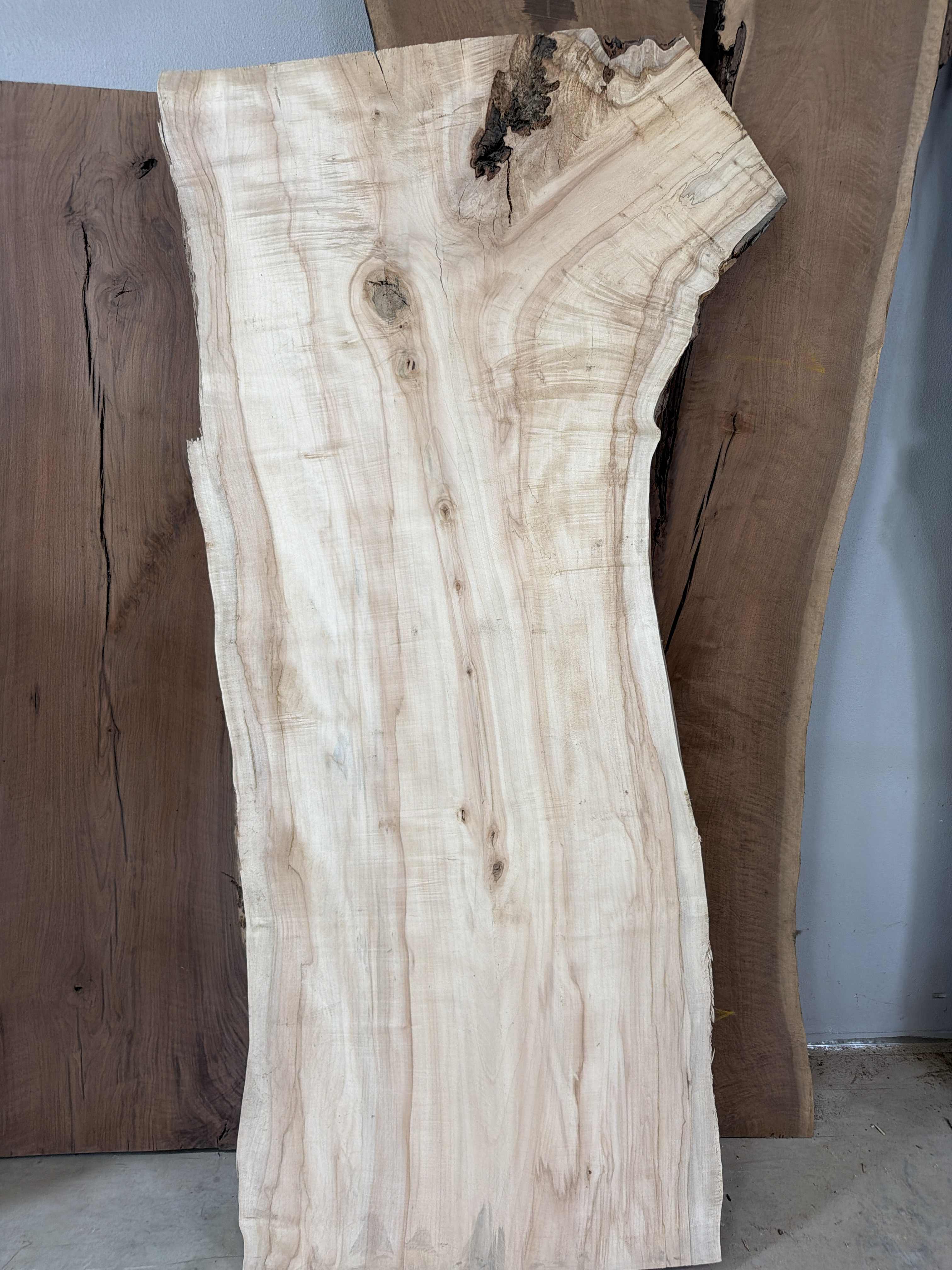 Slab SM 32, silver maple