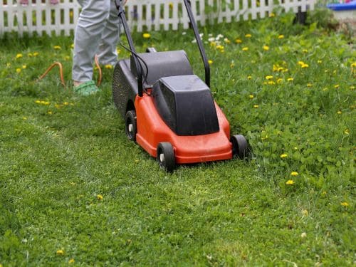 {{ custom_values.service_1 }} in {{custom_values.biz_area_1})