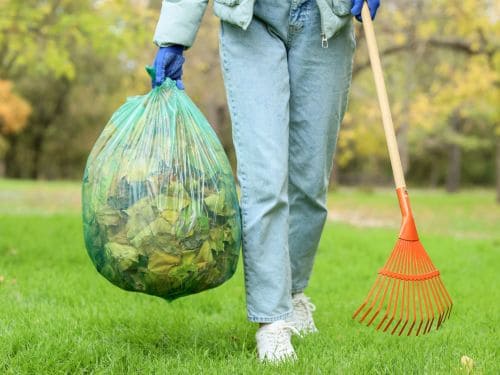 Yard Cleanups in San Diego