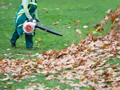 Weed Removal in San Diego