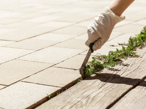 Property Cleanup San Diego