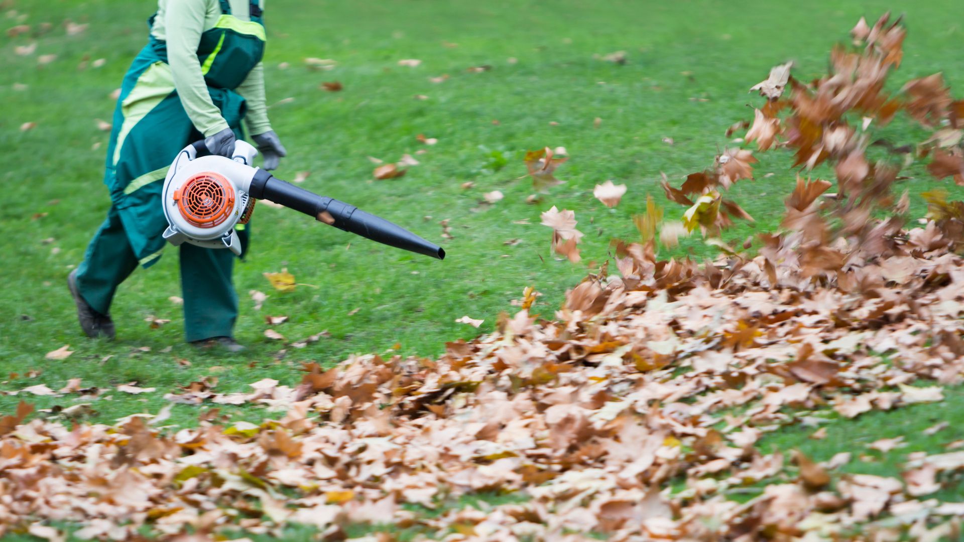 National City Yard Cleanups