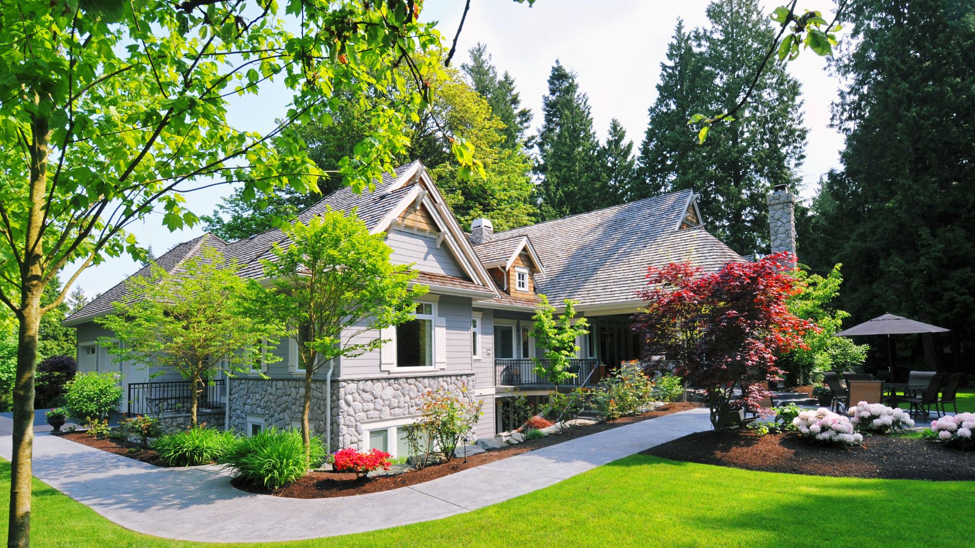 Lemon Grove Yard Cleanups