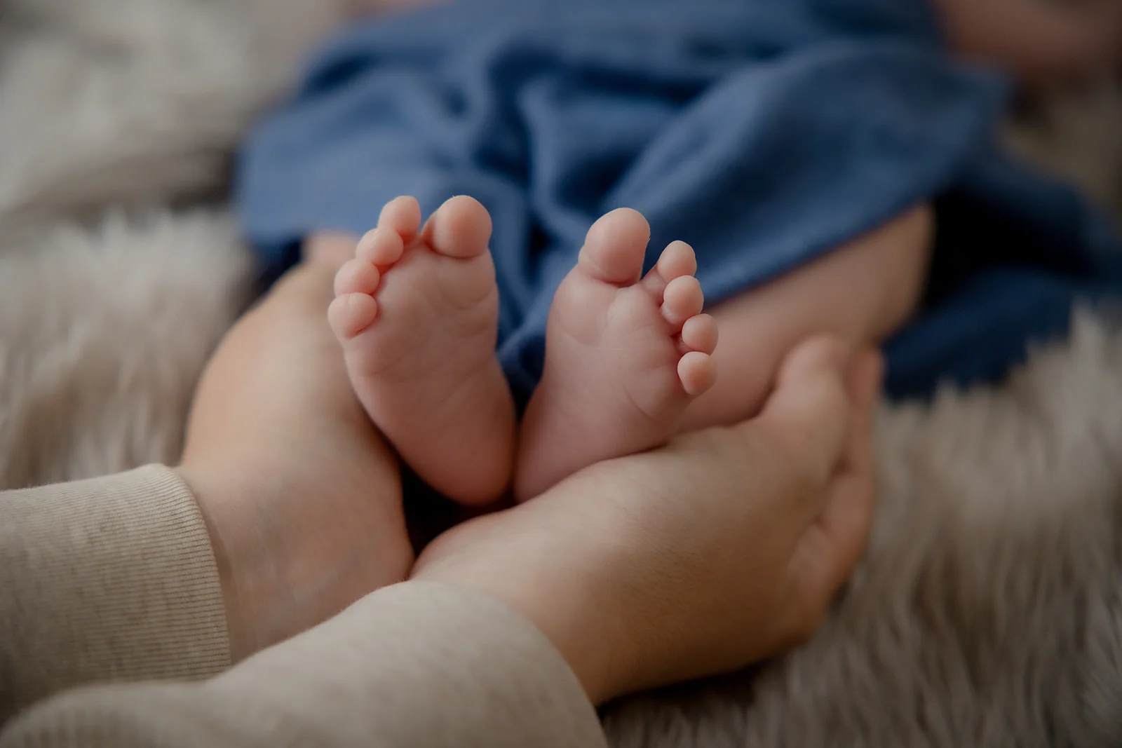 Signature Newborn Session