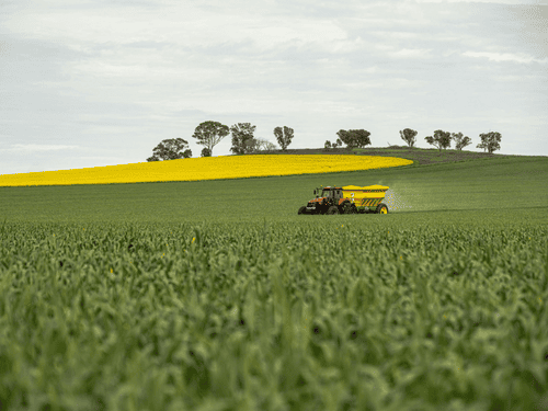 Lawn Fertilization in North Seattle