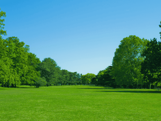 Mulching & Bark Installation North Seattle