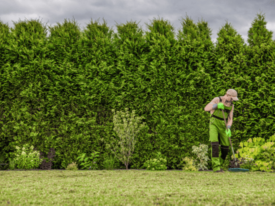 Gutter Cleaning North Seattle