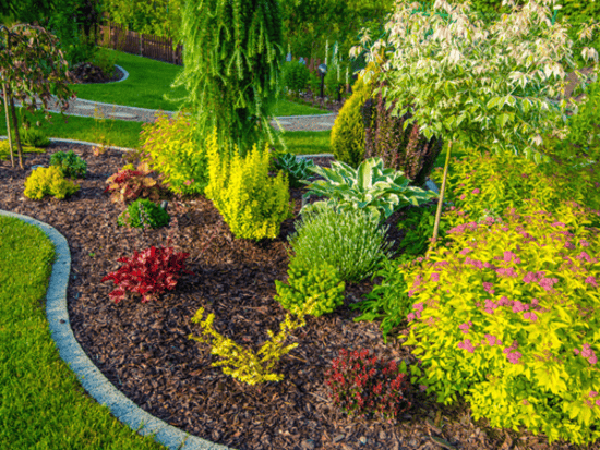 Lawn Fertilization North Seattle