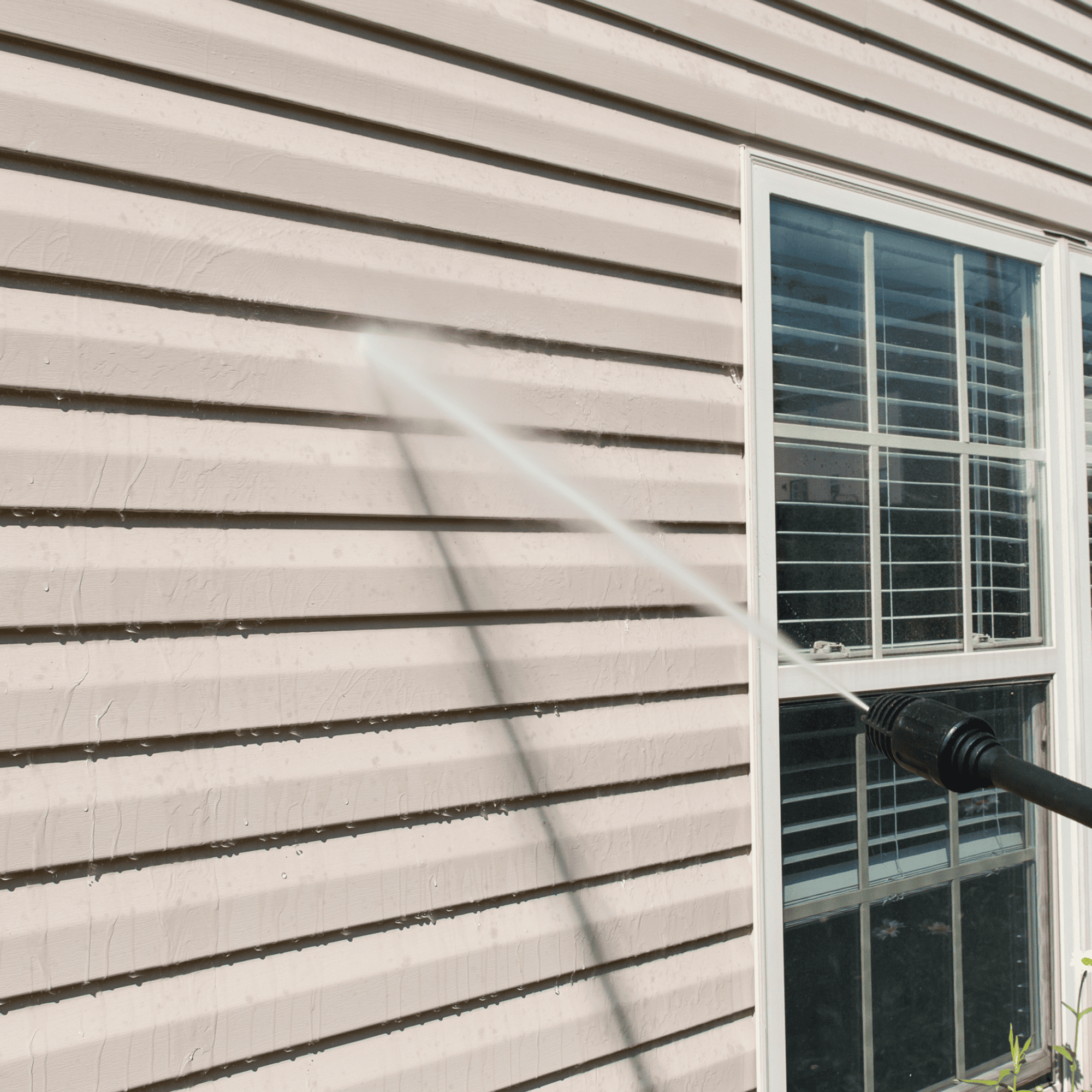 Sod & Seed Installation North Seattle