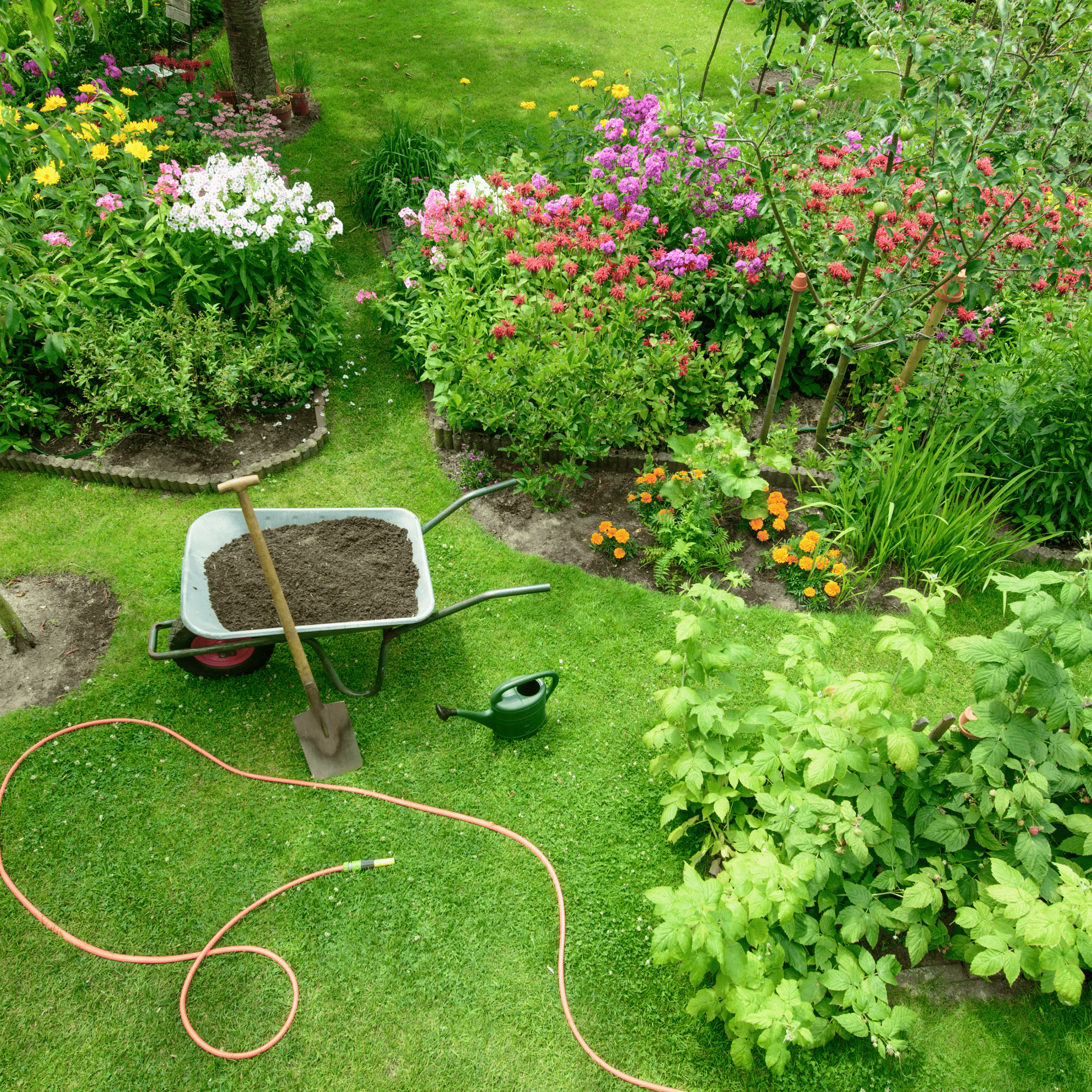 North Seattle Lawn Fertilization