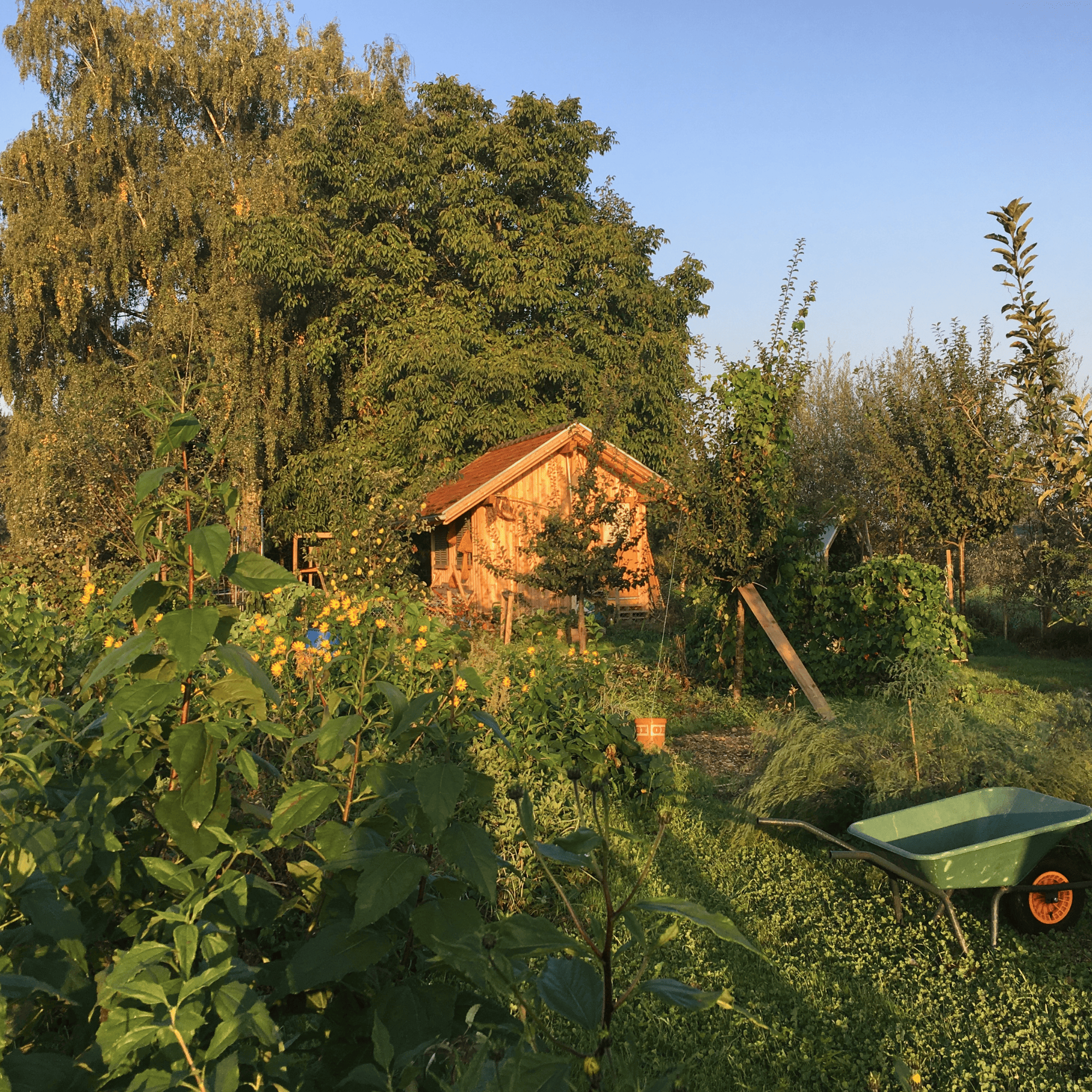 Tukwila Newcastle Lawn Mowing