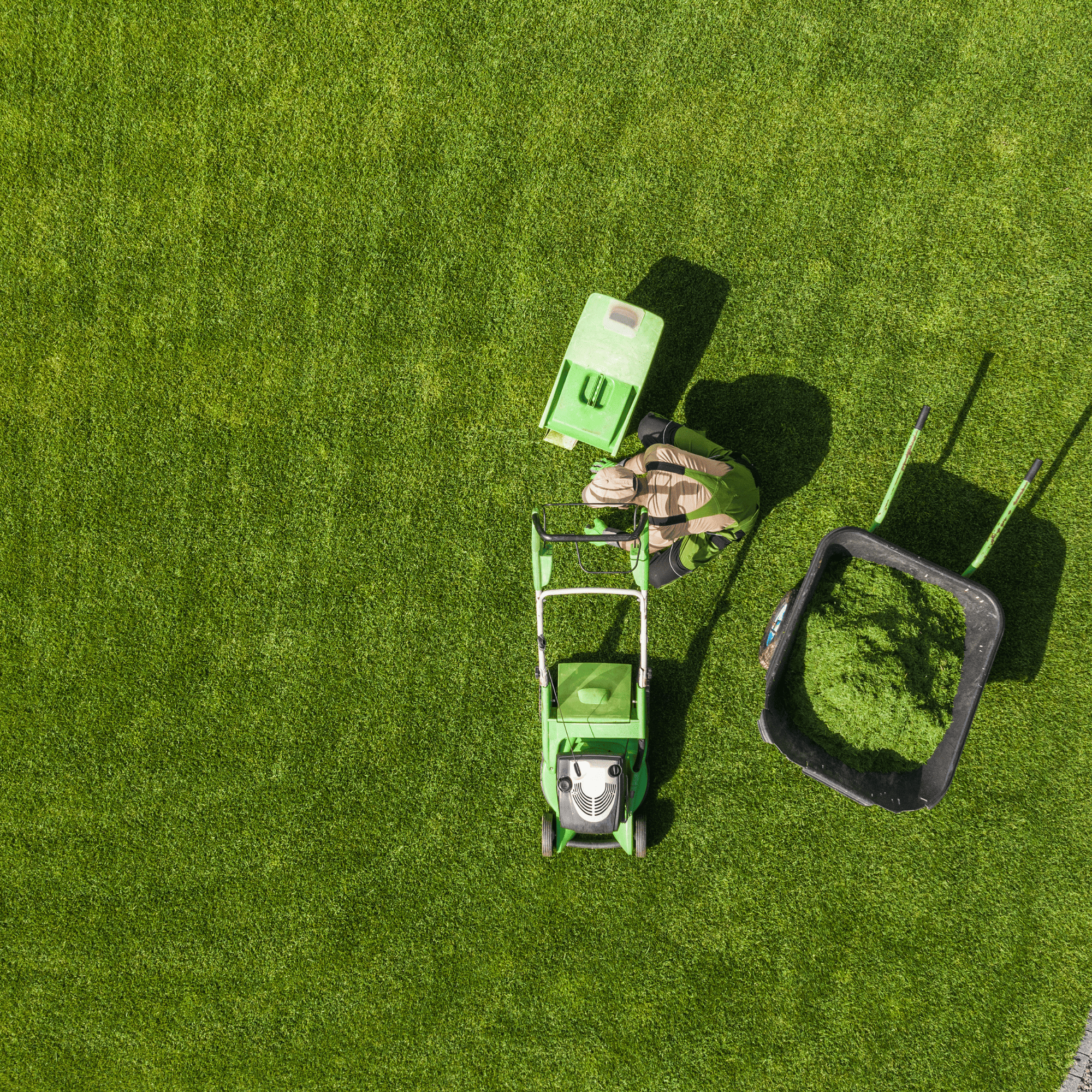Bellevue Lawn Mowing