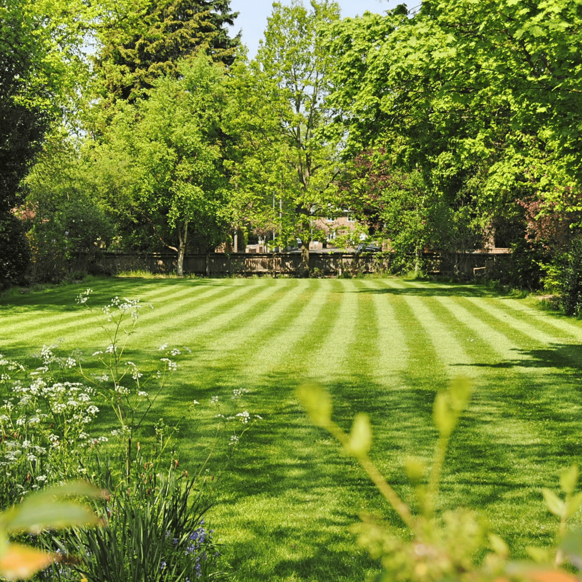 SeaTac Lawn Fertilization