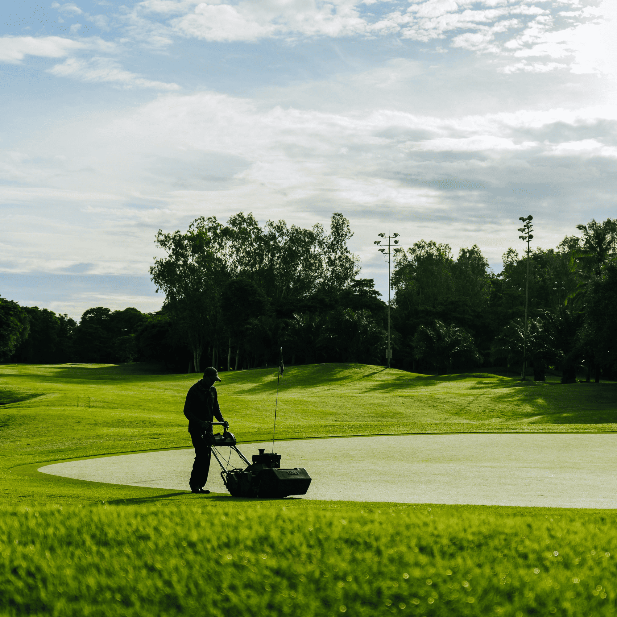 Lawn Mowing North Seattle