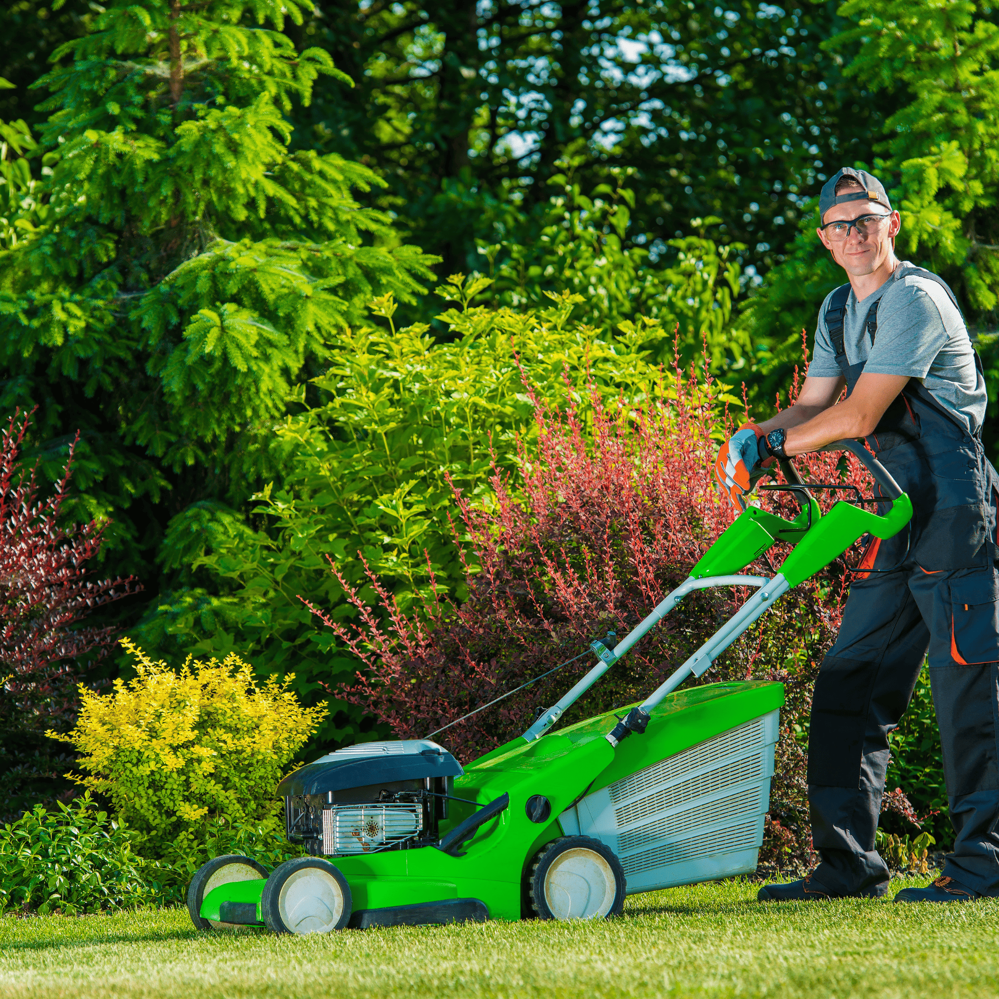 Sod & Seed Installation North Seattle