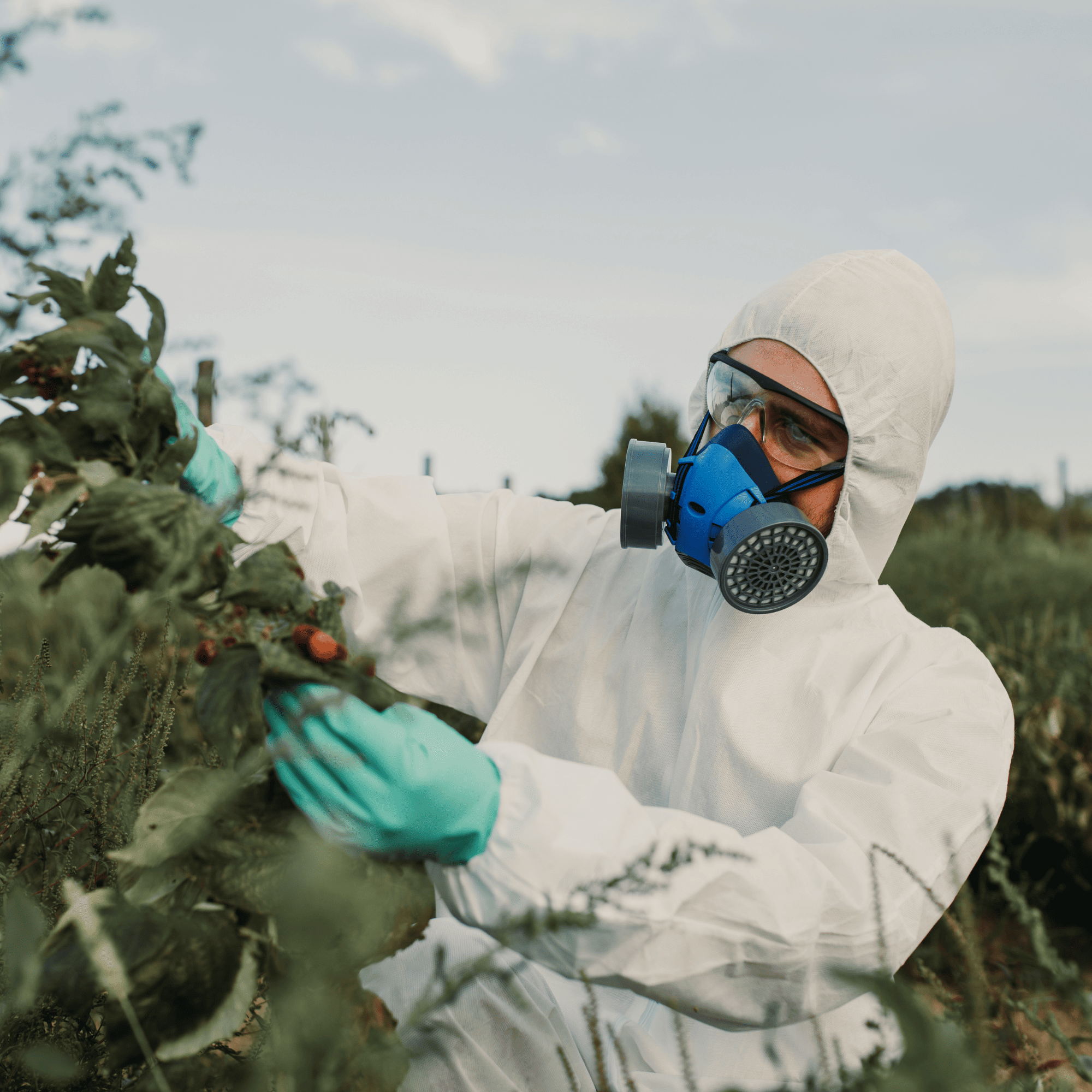 Gutter Cleaning North Seattle