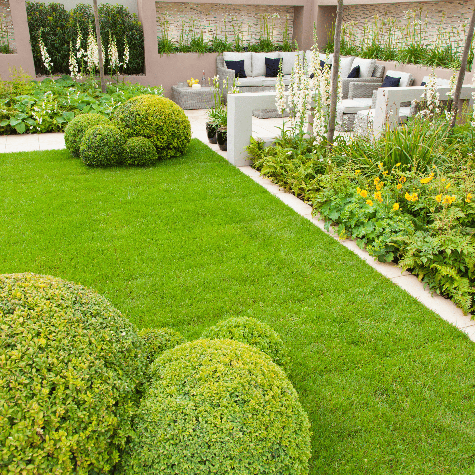 Issaquah Lawn Fertilization