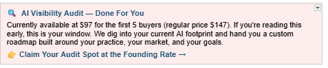 Details on our AI Visibility Audit