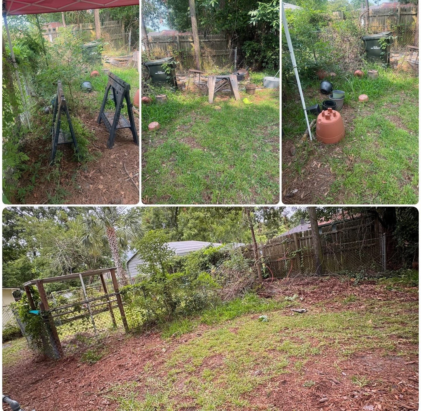 Backyard cleanup