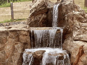 {{ custom_values.service_4 }} in {{custom_values.area_3})