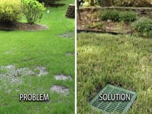 {{ custom_values.service_3 }} in {{custom_values.area_3})