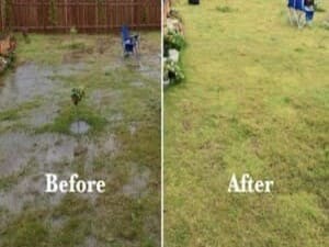 {{ custom_values.service_2 }} in {{custom_values.area_3})