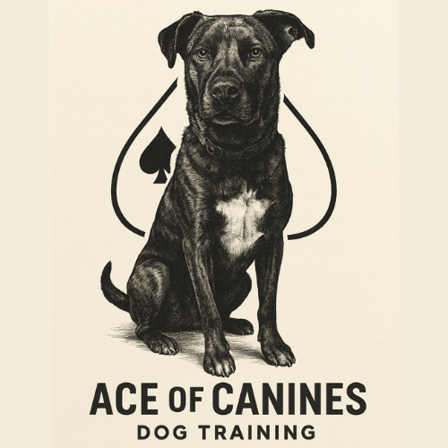 Ace of Canines Dog Training