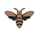 Hive