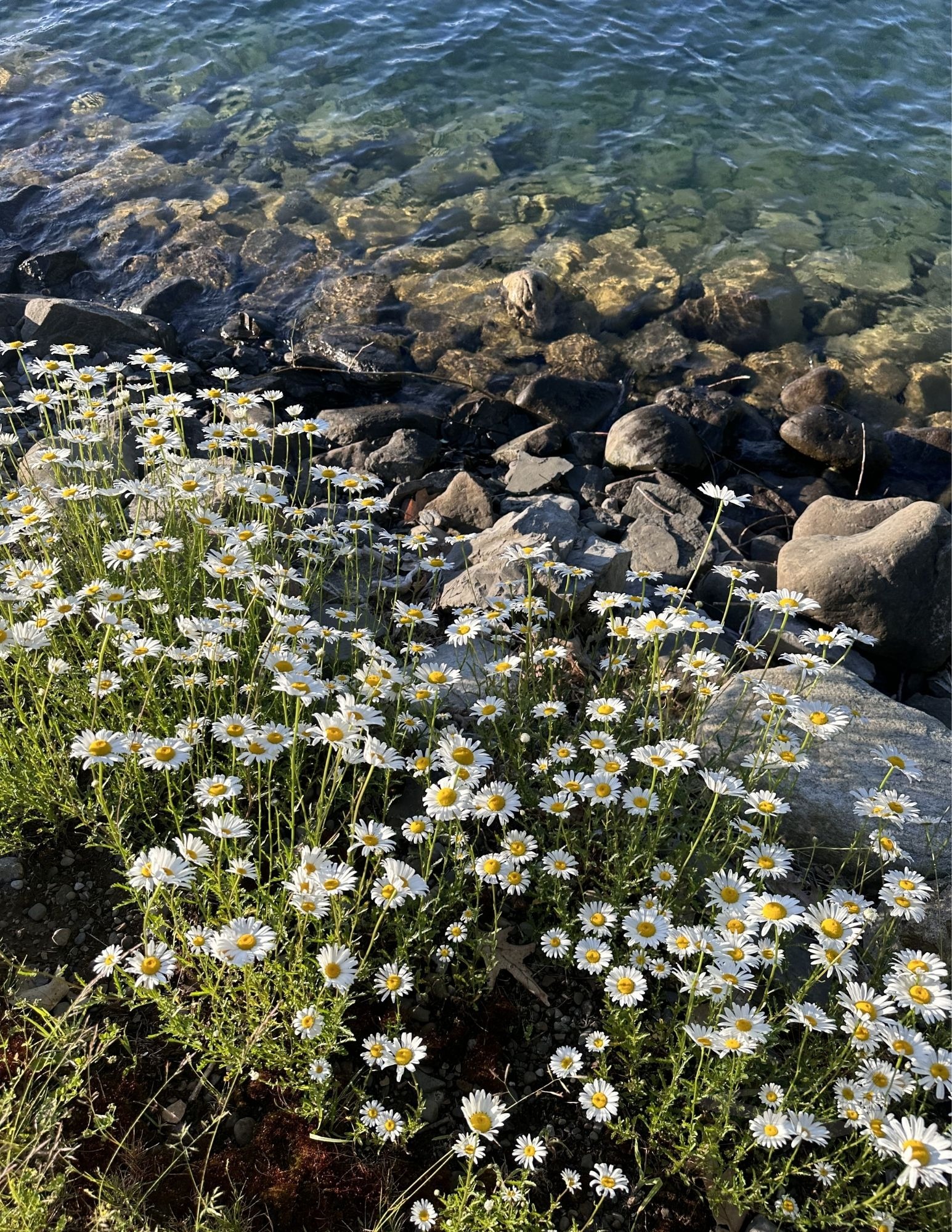 Moment 29 — Wonder — Open Skies