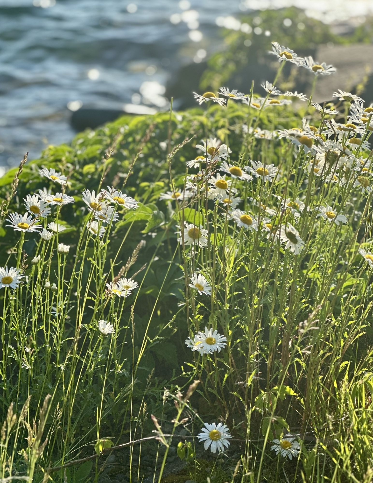 Moment 28 — Rest — A Quiet Place