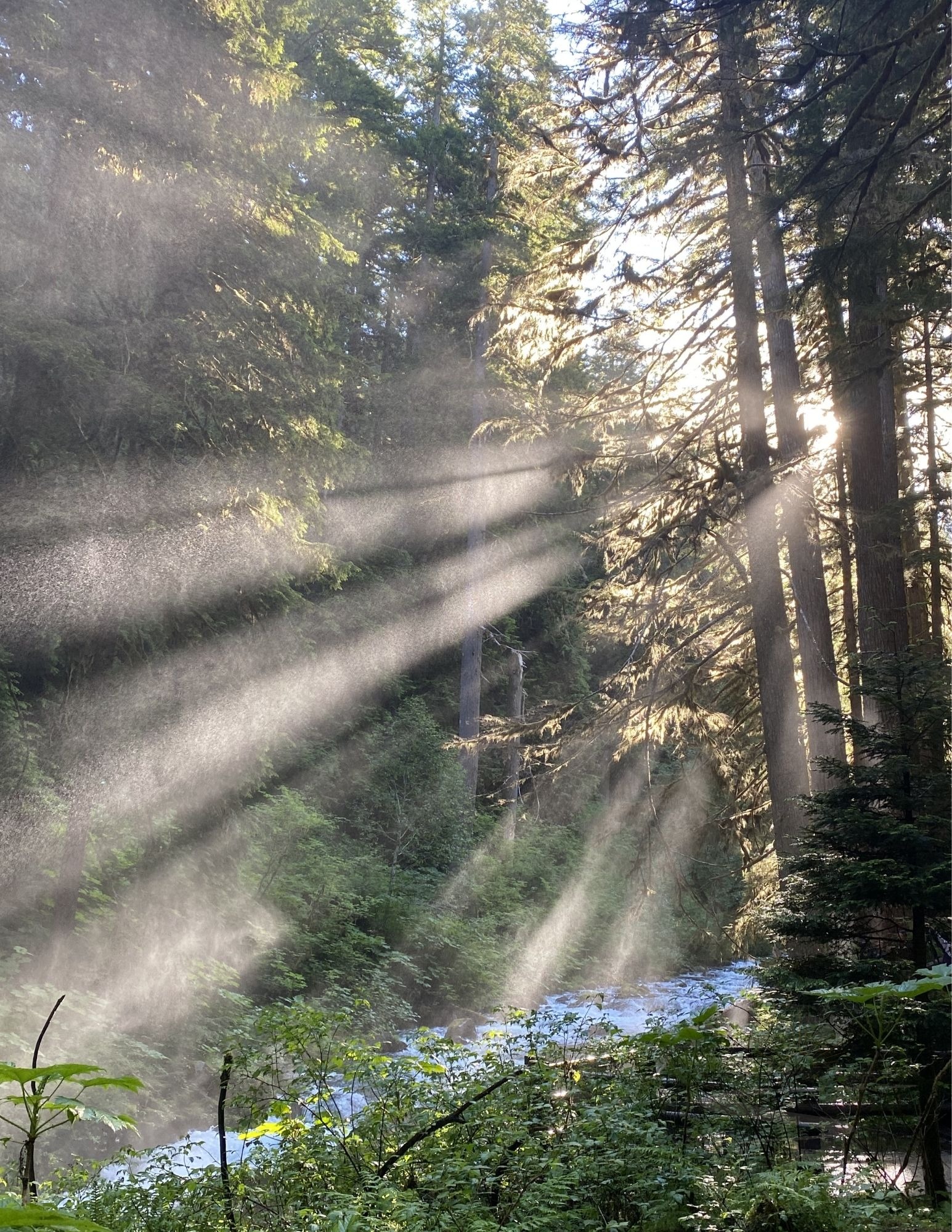 Moment 17 — Known — Rays of Light