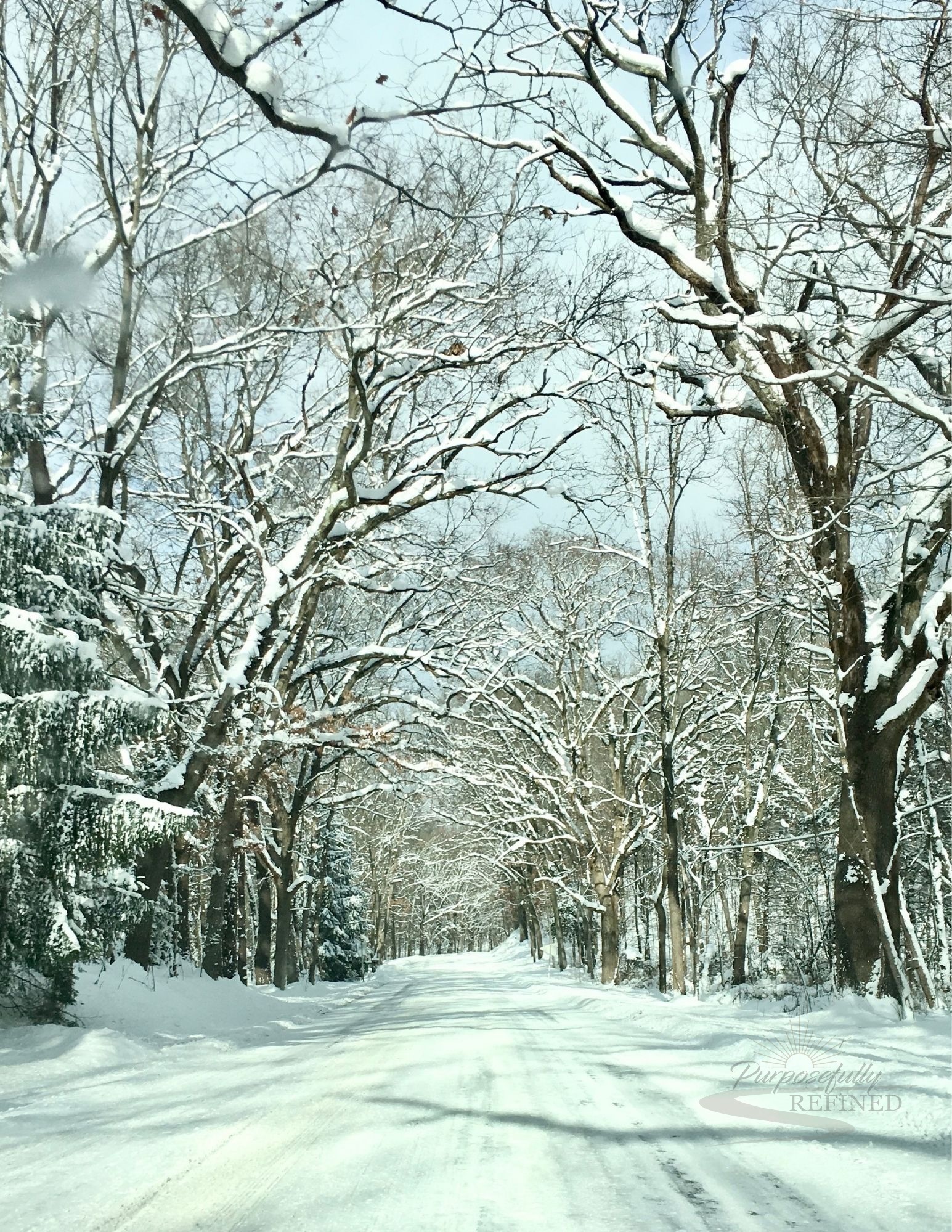 Moment 19 — Renew — The Snow Path