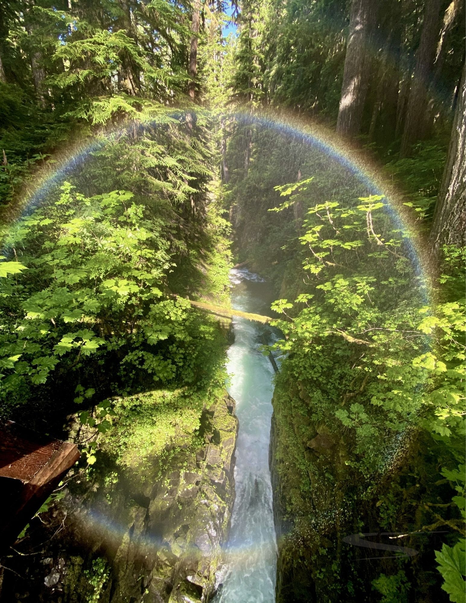 Moment 10 — Calling — Rainbow River, Washington