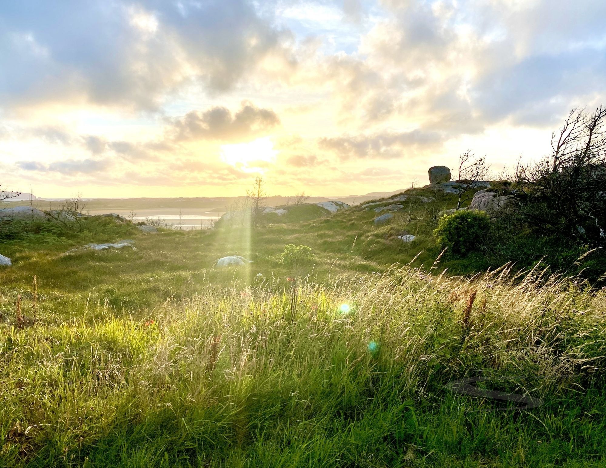 Moment 11 — Breakthrough — Ireland Sunrise