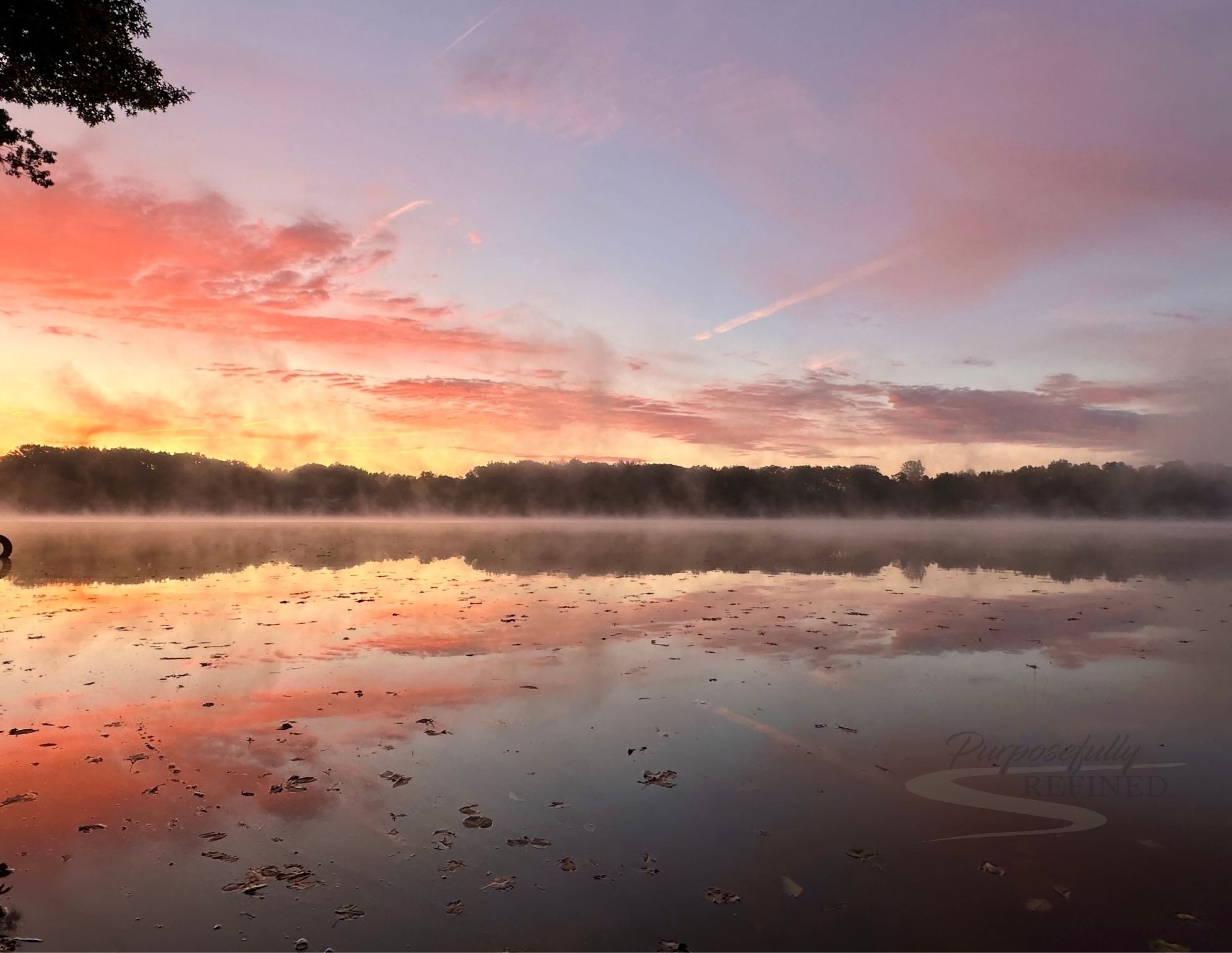 Moment 4 — Gratitude — Cottage Sunrise