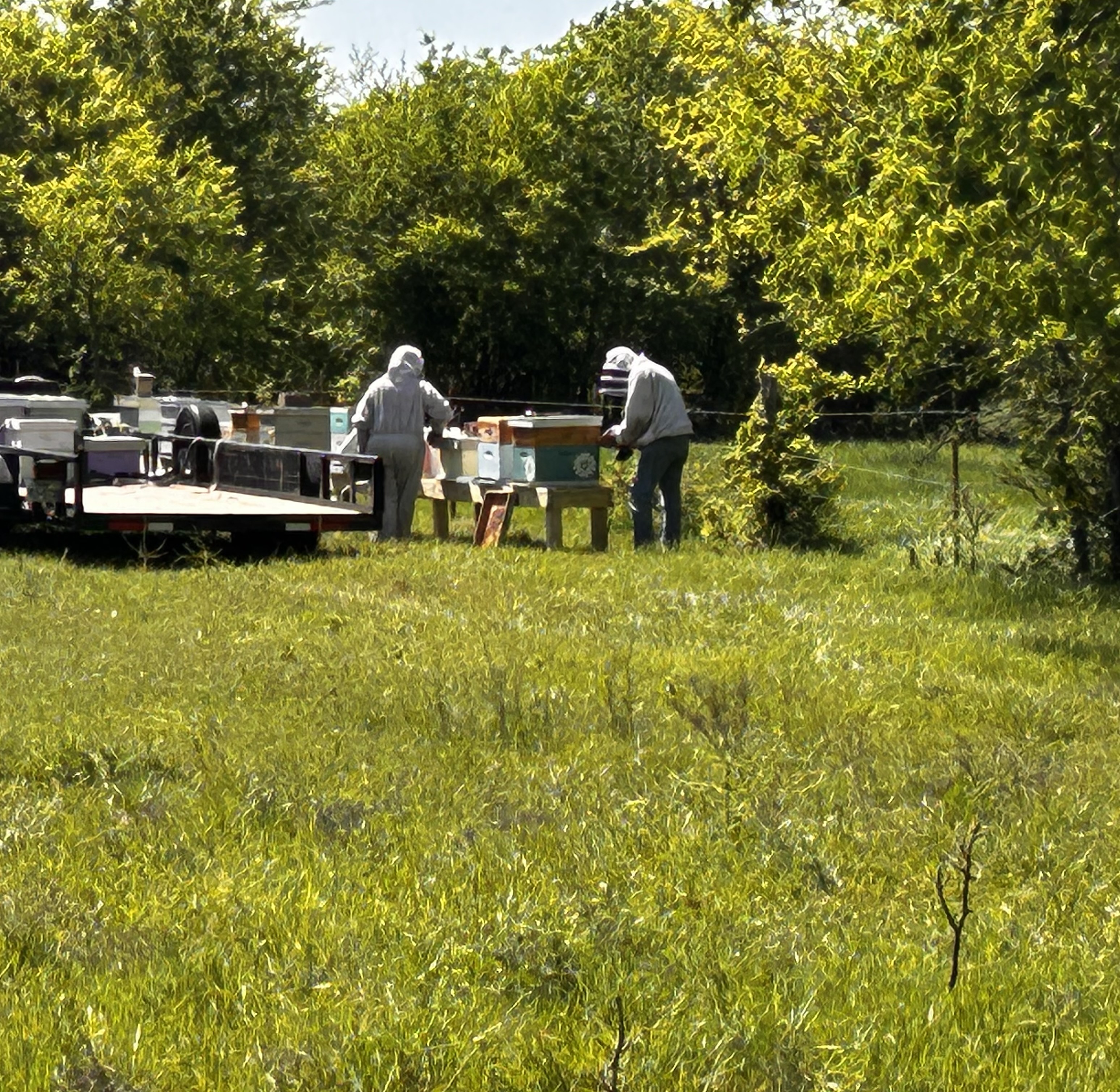 Beekeeping education at Safe Harbor Farmstead