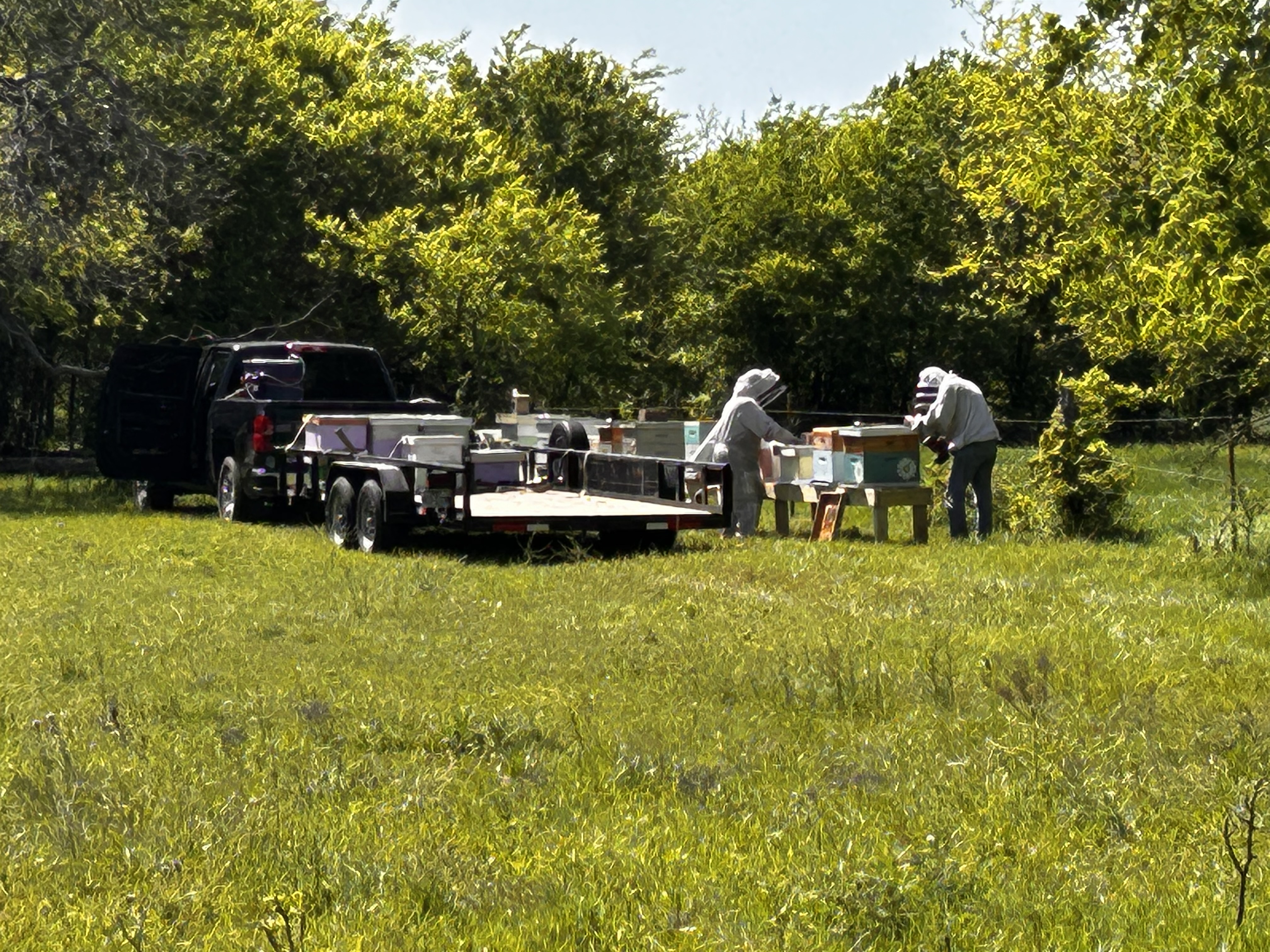 Beekeepers tending hives at Safe Harbor Farmstead