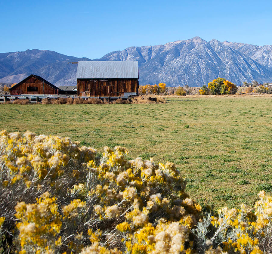 Minden Nevada real estate