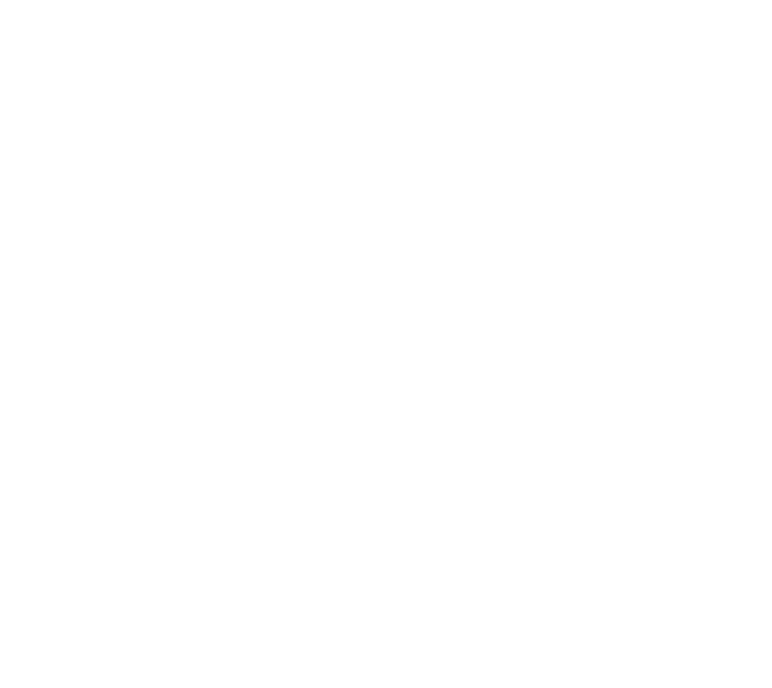 Craig Lotzof & Associates Logo