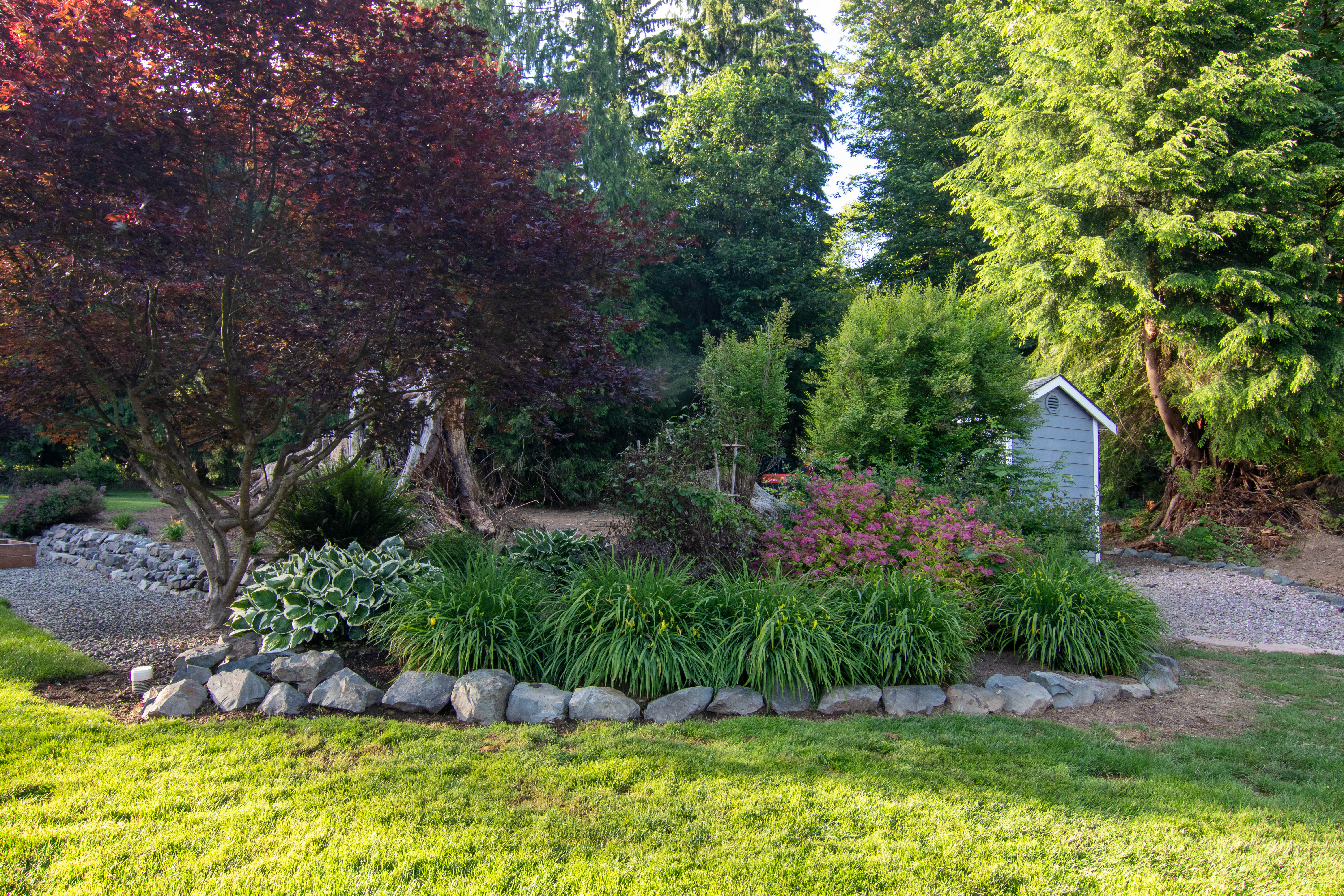 Mature landscape - property photo